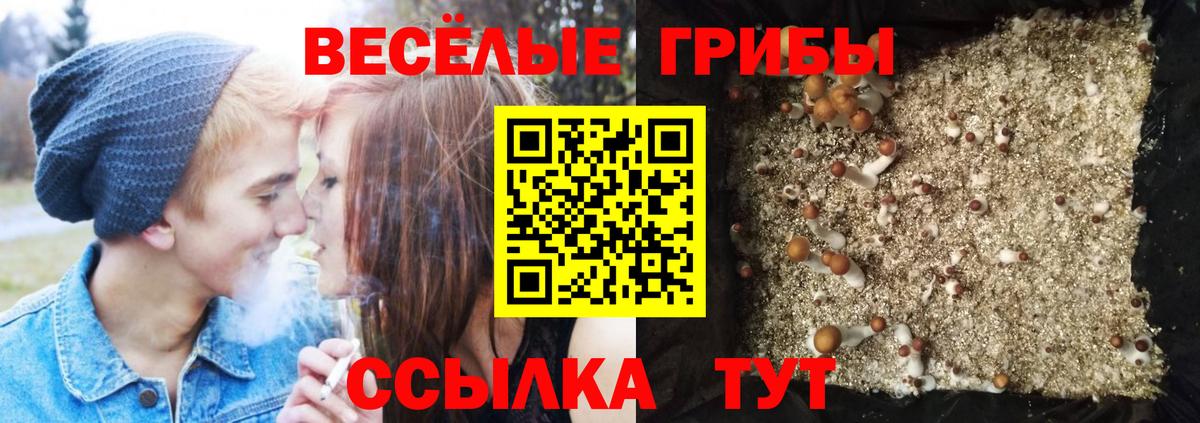 Псилоцибиновые грибы мухоморы  Вход с VPN  Балтийск 